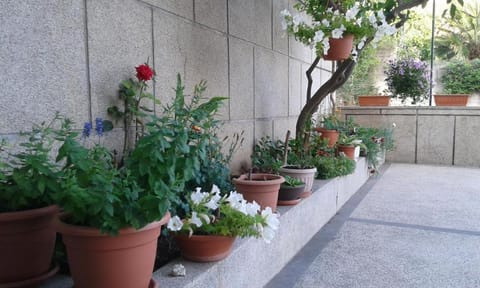 Location, children, Family