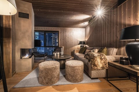 TV and multimedia, Living room, Seating area, fireplace