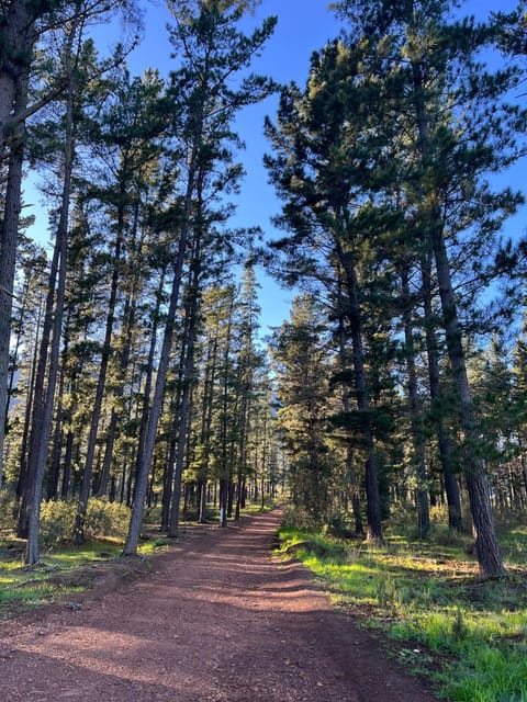 Paradyskloof Spacious Apartment Apartment in Stellenbosch