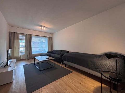 Kotimaailma - Cozy and spacious apartment Apartment in Finland