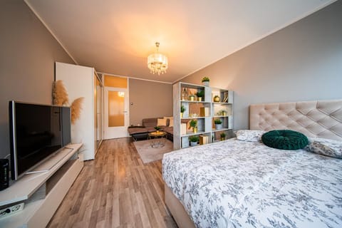 Bed, TV and multimedia, Photo of the whole room, Bedroom, wardrobe