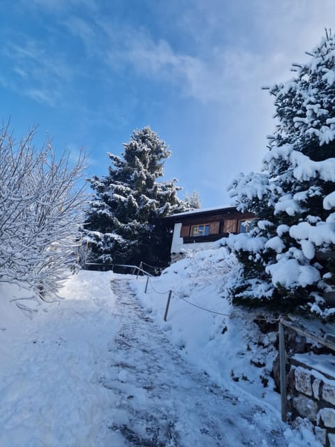 Casa nel Bosco Vason Chalet in Trentino-South Tyrol