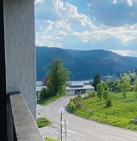 Studio à Gérardmer, les Dryades Apartment in Gérardmer