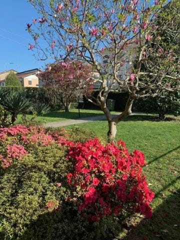 La casa di nonna Rosmi Apartment in Piedmont