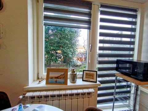 Day, Garden, View (from property/room), microwave