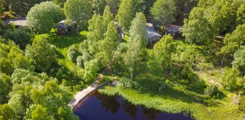 Natural landscape, Bird's eye view, Garden view, Lake view