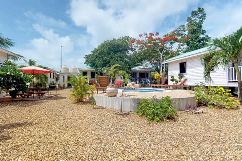 Blue Marlin at Latitude Adjustment -Gold Standard Certified Hotel in Hopkins