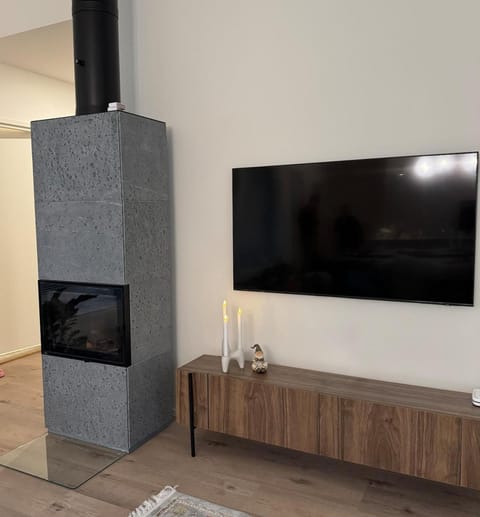 Modern Home Under the Northern Lights Villa in Rovaniemi