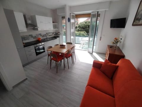 Living room, kitchen