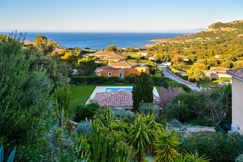 Natural landscape, Garden, Sea view