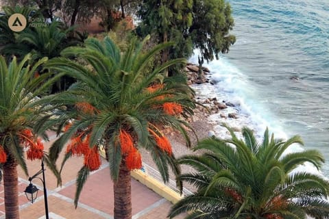 Lucy's comfy apt in town centre by the sea Apartment in Euboea