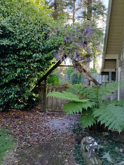 Hawkings Lodge House in Northland