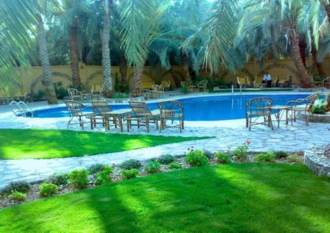 Spring, Day, Natural landscape, Garden, Garden view, Pool view, Swimming pool, sunbed