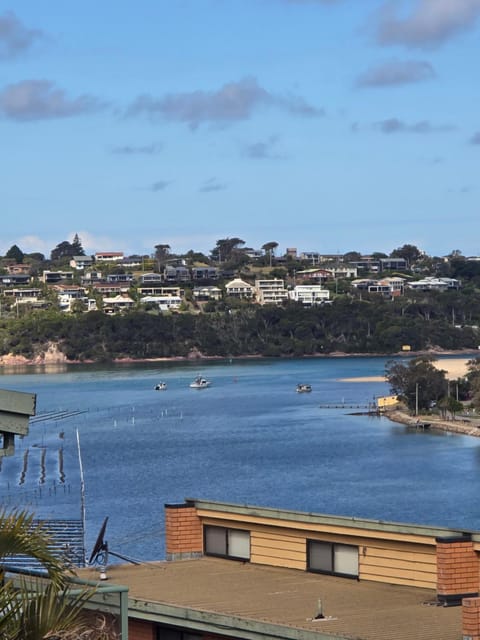Lake view