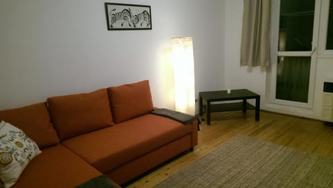 Living room, Photo of the whole room