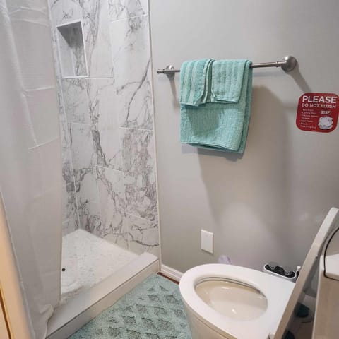 Shower, Toilet, Bathroom, bidet