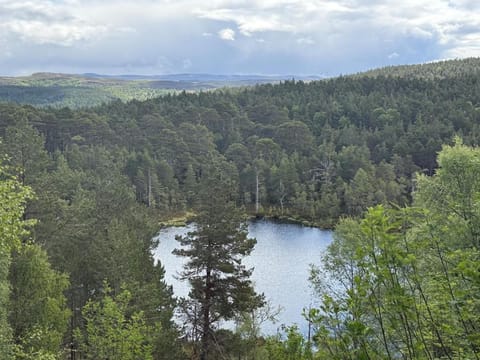 Nearby landmark, Natural landscape