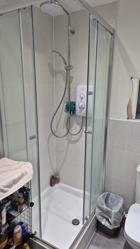 Shower, Toilet, Bathroom, towels