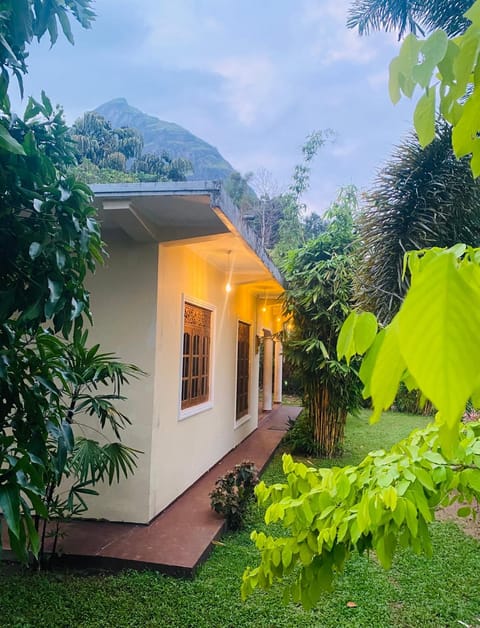 Property building, Garden view