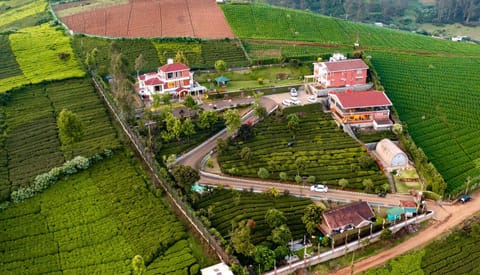 Neighbourhood, Natural landscape, Bird's eye view