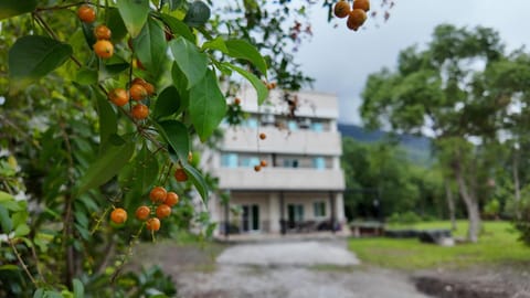 Property building, Natural landscape