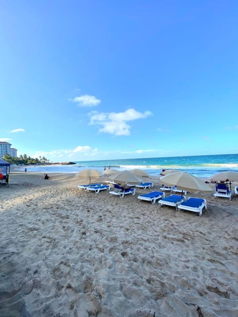 Beach, sunbed