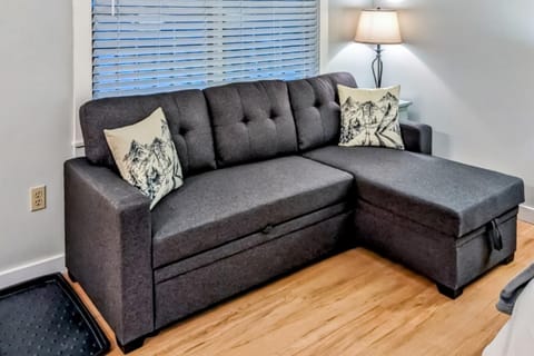 Champagne Supernova & Ludlow Lax Hotel in Ludlow