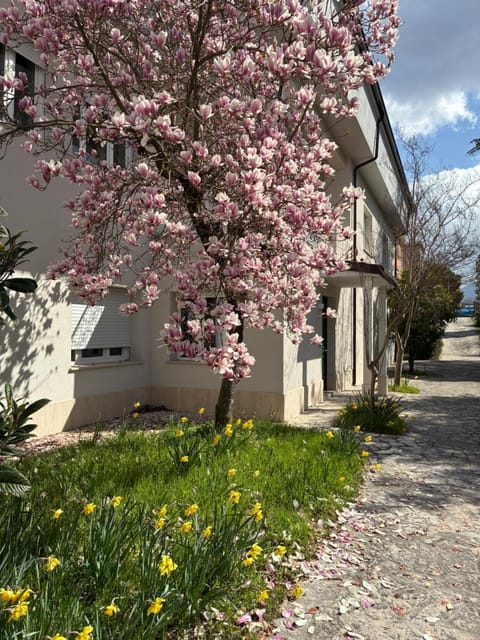 Il giardino di Silvia Bed and Breakfast in Isernia