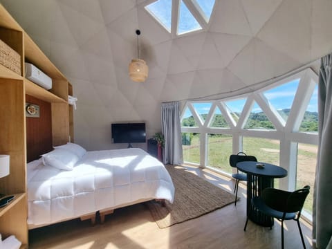 Bed, TV and multimedia, Living room, Bedroom