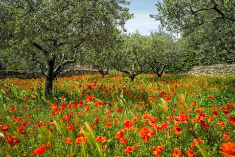 Property building, Living room, Swimming pool