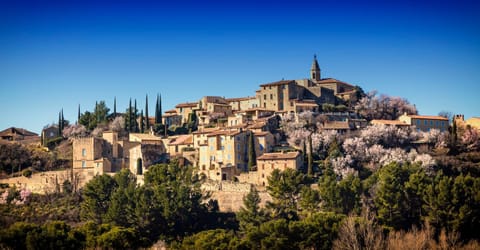 Maison De Campagne Le Cyprès Apartment in Bédoin