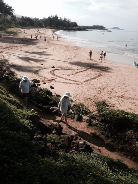 Kihei Kai Nani 170 Apartment in Wailea