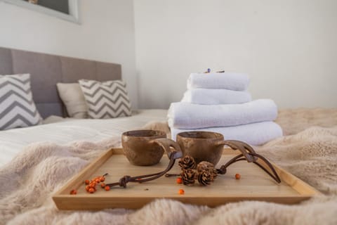 NEW! Reindeer River Loft Apartment in Rovaniemi