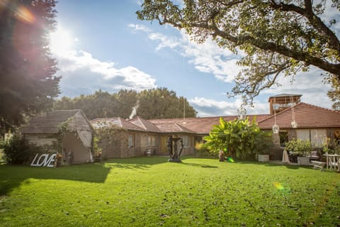 Property building, Spring, Garden, Garden view