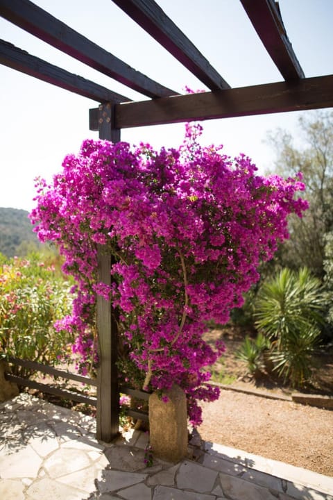 Villa 65m2 7 pers - Rondinara, Bonifacio House in Bonifacio