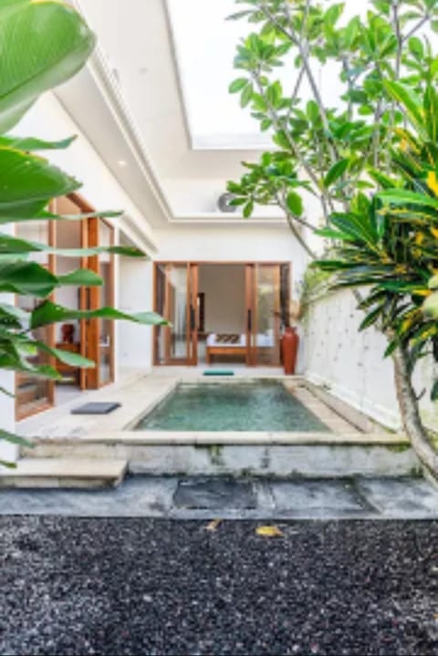 Garden, Pool view, Swimming pool