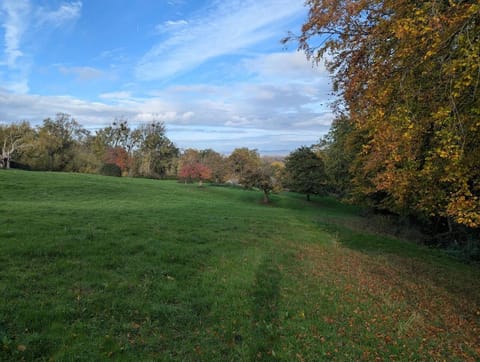 Woodland Cabin - Cotswold Way - Logs & Dogs Cabin in Cheltenham