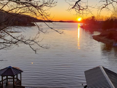 Reel It In House in Douglas Lake