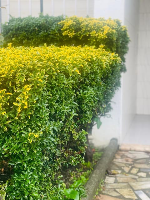 Like Home Apartments Apartment in Vila Praia de Ancora