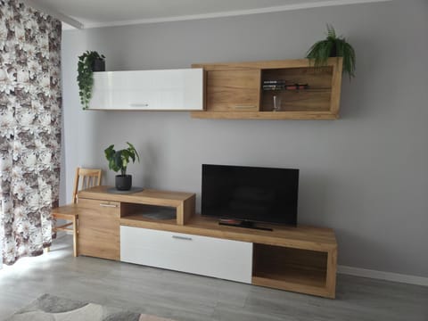 Communal lounge/ TV room, TV and multimedia