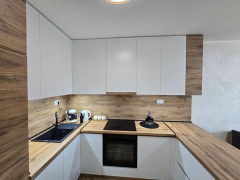 Stan na dan Platinum Apartment in Timiș County