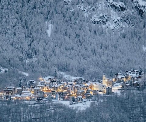 La Primula Panoramic View - Valmalenco Apartment in Chiesa In Valmalenco