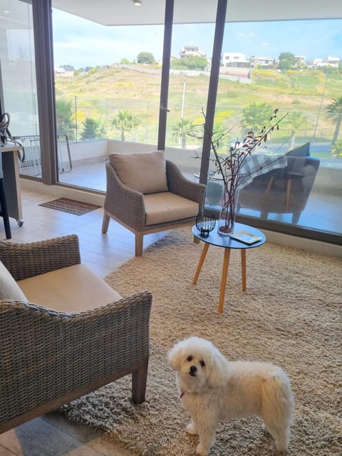 Living room, Pets