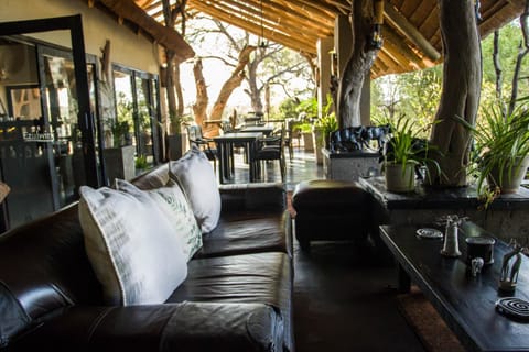 Patio, Restaurant/places to eat, Lounge or bar, Seating area