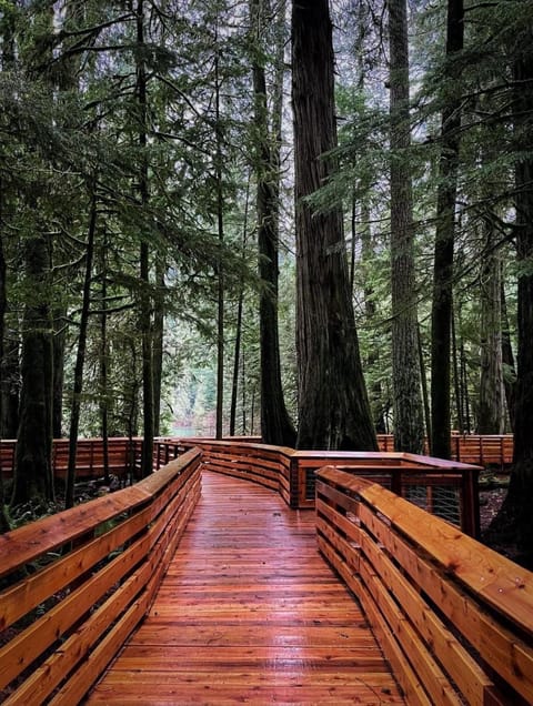 Oceanside Getaway Apartment in Vancouver Island