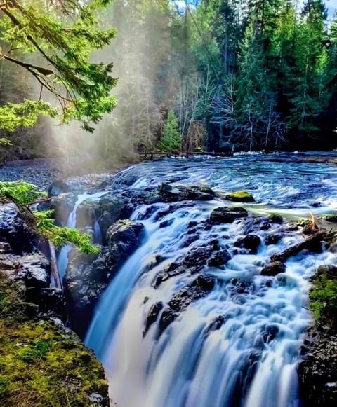 Oceanside Getaway Apartment in Vancouver Island