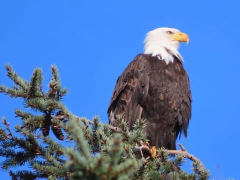 Oceanside Getaway Apartment in Vancouver Island