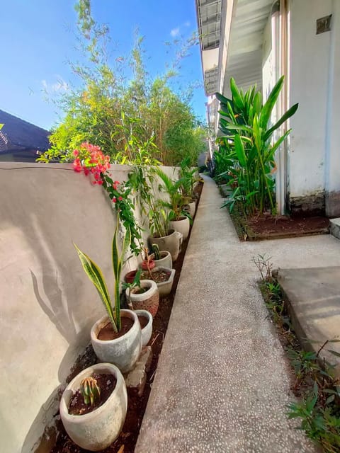 Bali Yogi Bed and Breakfast in Abang