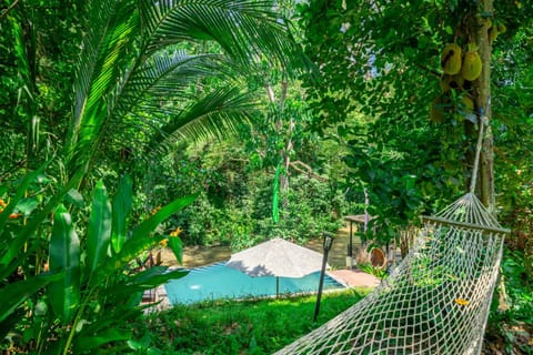 Natural landscape, Garden, Garden view