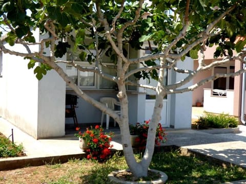 Apartments Branko Nin Apartment in Zadar County